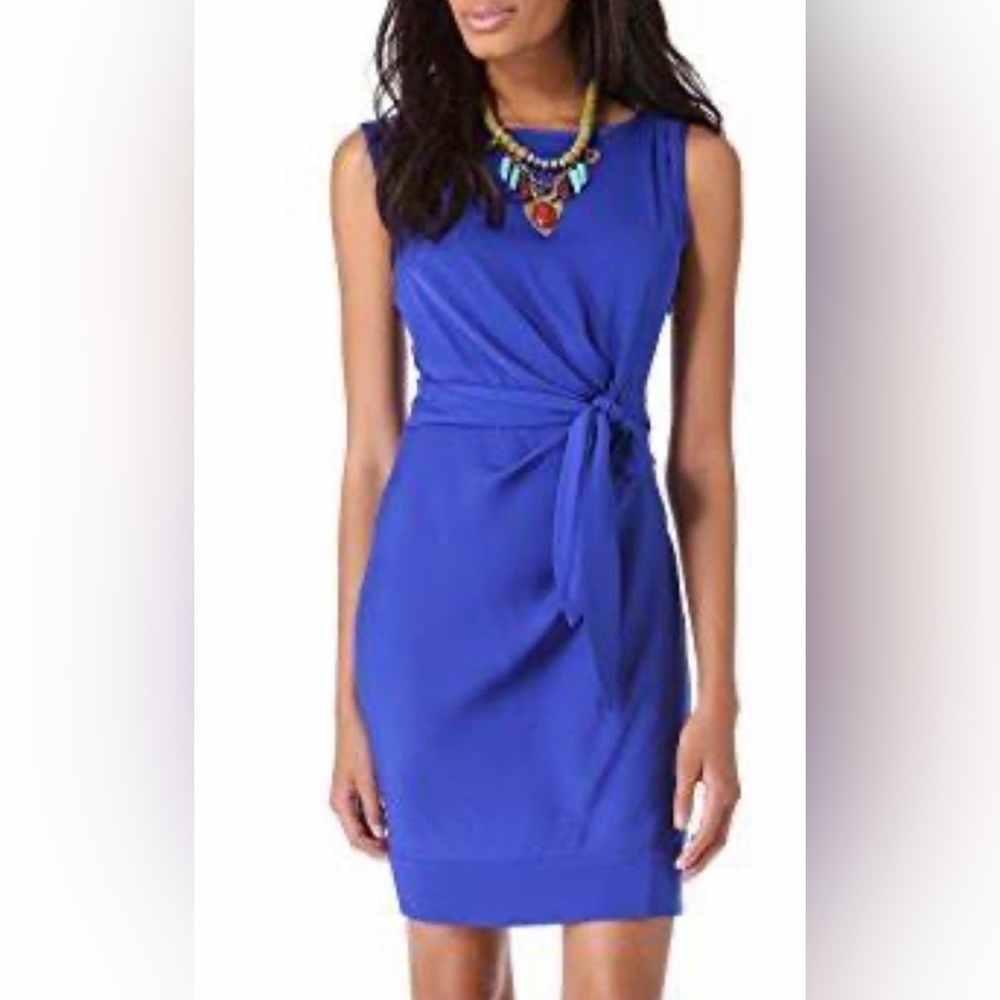 Diane Von Furstenberg Della Dress